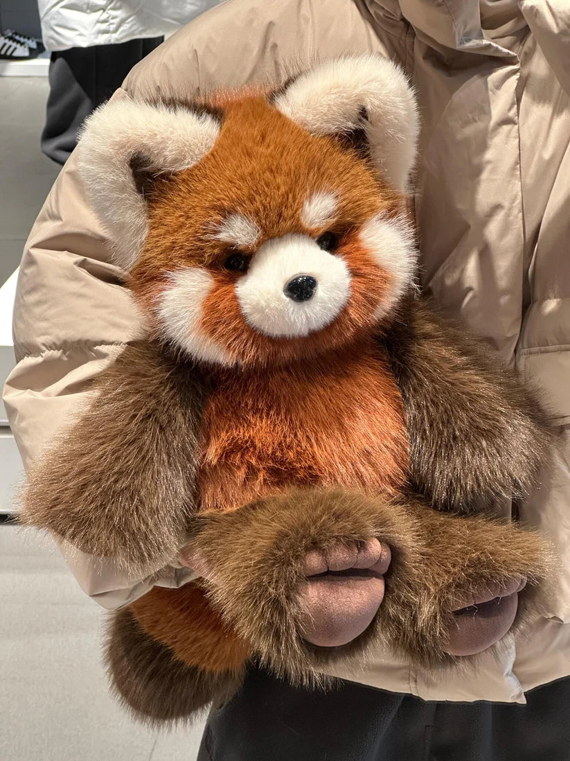 Fluffy Red Panda