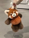 Fluffy Red Panda