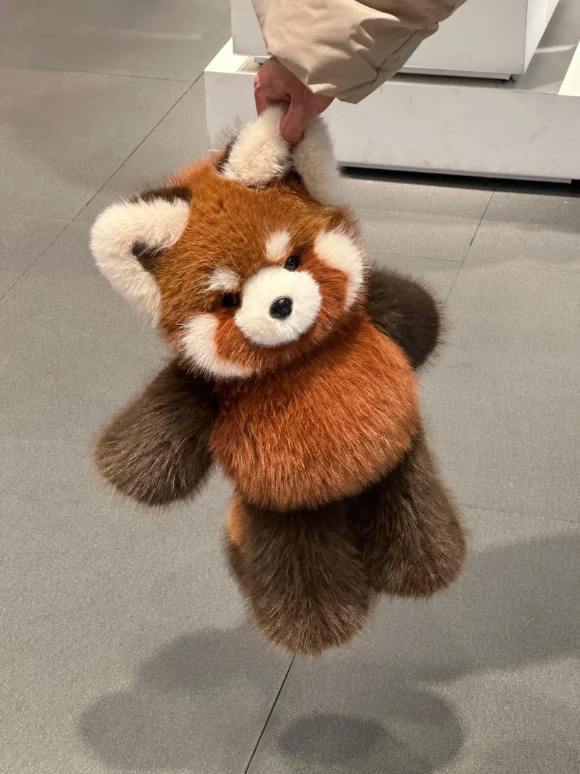Fluffy Red Panda