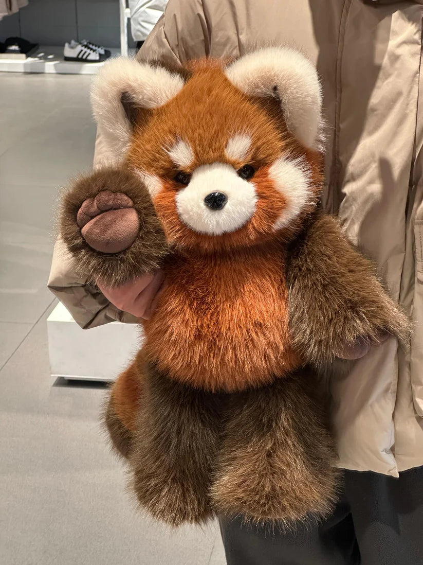 Fluffy Red Panda